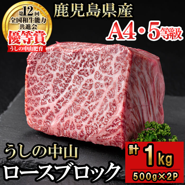 【ふるさと納税】うしの中山 ロースブロック 計1kg(500g×2P) 黒毛和牛 和牛 肉 牛肉 国産 九州産 鹿児島県産 ロース 焼肉 ローストビーフ たたき 煮込み 日本一 冷凍 ブロック肉 BBQ バーベキュー ステーキ【nixy CHUZAN】e5-002