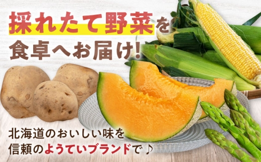 【9月下旬以降順次発送】じゃがいも キタアカリ 5kg 《喜茂別町》【Aコープようてい】 じゃがいも いも きたあかり 芋 ジャガイモ イモ 野菜 北海道 ポテト 国産 産地直送 旬 お取り寄せ 常温 [AJAK028]