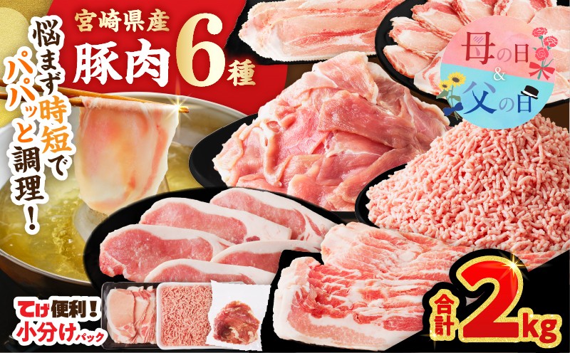 
                  【選べる発送時期】≪宮崎県産≫豚肉6種＼てげスゲーセット／合計2kg 母の日 父の日 肉 豚 豚肉 おかず 国産_T009-0305-o
                
