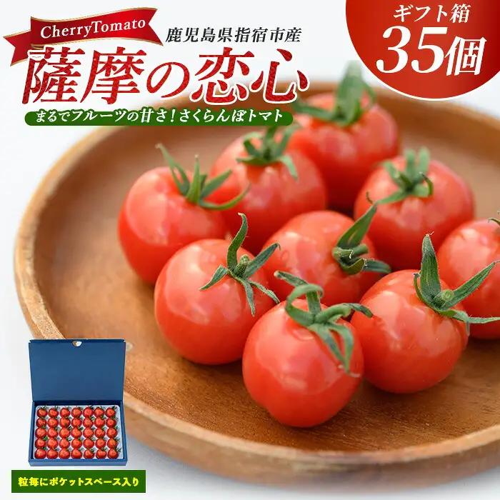 2026年12月上旬～発送 鹿児島県指宿市産 さくらんぼ トマト 薩摩の恋心 35個入 シナジーブリーディング IB077-001 ミニトマト ミニトマト