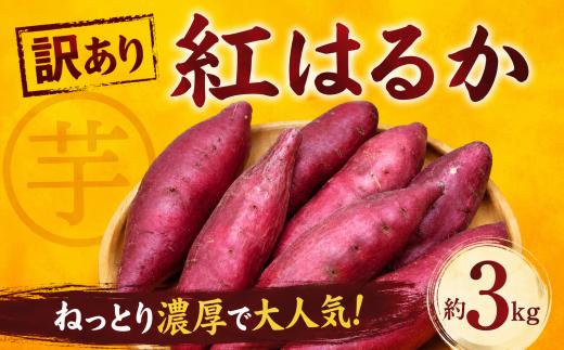 紅はるか 3kg 訳アリ 先行予約 【2027年1月以降発送】 3キロ べにはるか さつまいも サツマイモ 芋 熟成 焼き芋 に おすすめ 産地直送 不揃い 訳あり わけあり 椎名農園 千葉県 香取市 SIN002