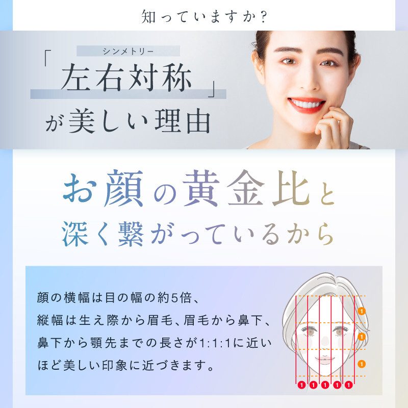 NIPLUX 美顔ローラー BEROLA 美顔器 美顔 ローラー フェイスローラー EMS RF ラジオ波 リフトケア 引き締め ハリ フェイスライン リフトアップ ケア 美容 美容家電 ニップラック