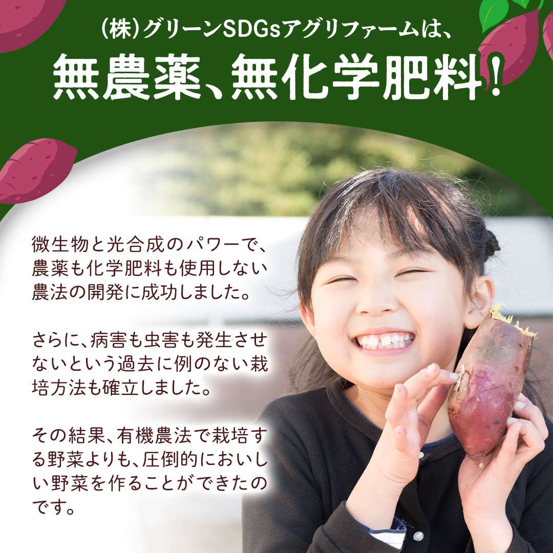 茨城県産 紅はるか 10kg 土付き 無選別 熟成 さつまいも 生芋