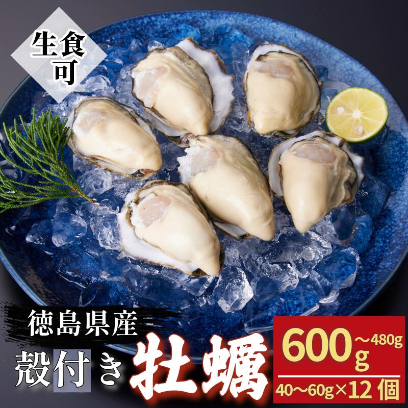 【ふるさと納税】 【プリッと新鮮】牡蠣 かき カキ 生ガキ 12個 計480g～600g 生食用 殻付きかき 数量限定 オイスター 貝 殻付牡蠣 生牡蠣 蒸し焼き 焼き牡蠣 カンカン焼き 加熱用牡蠣 海鮮 海の幸 魚介類 魚貝類 殻付き牡蠣