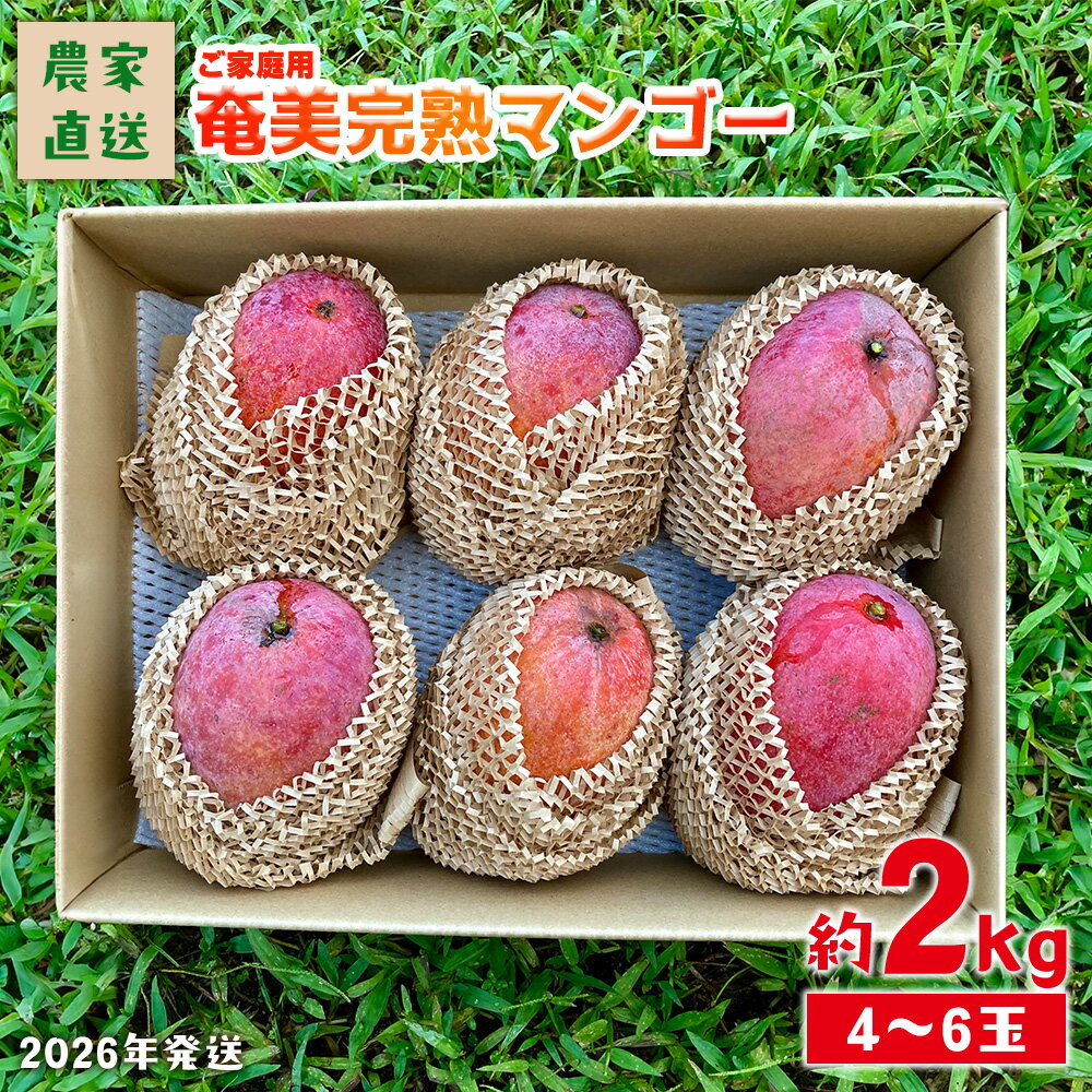 【ふるさと納税】2026年発送【農家直送】飯田菜園 奄美完熟マンゴー 約2kg(4～6玉)ご家庭用
