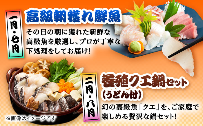 【12回定期便】五島のお魚！満喫定期便（4人前）/五島市 [PZX056]