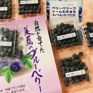 自然が育てた美馬のブルーベリー 大粒 400g（100g×4パック）冷蔵 2024年6月～発送