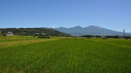 【令和7年産・白米4kg×12カ月定期便】　特別栽培米　BBT米（五郎兵衛米） 〈2025年10月中旬頃～順次発送〉 先行予約　新米　信州　こしひかり【 米 コメ 白米 精米 お米 こめ おこめ 新米