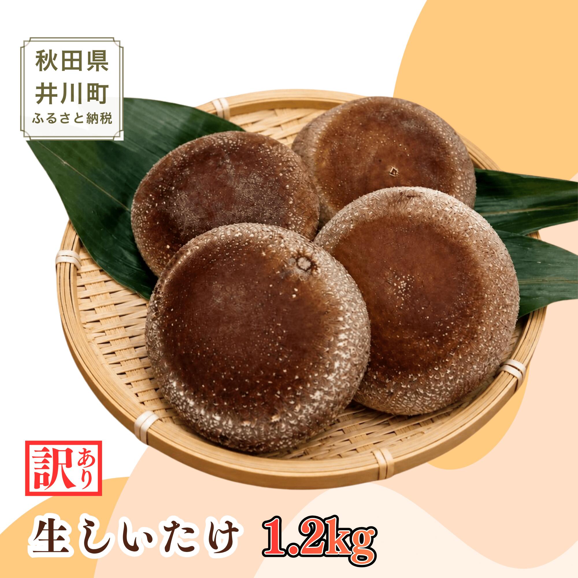 【ふるさと納税】肉厚 菌床 生しいたけ 1.2kg 【訳あり品】秋田県井川町産