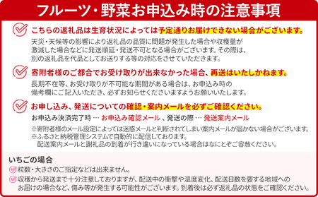 【2026年2月上旬より順次発送】 あまおうDX 約280g×2パック いちご 苺 フルーツ 果物 くだもの 福岡県 福岡 九州 グルメ お取り寄せ
