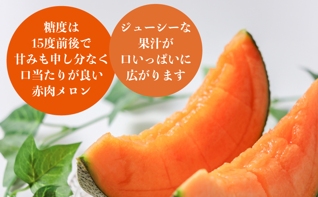 ＜2026年7月上旬よりお届け＞北海道壮瞥産 赤肉メロン「北紅クイーン」1玉入り約1.8kg以上 SBTP001