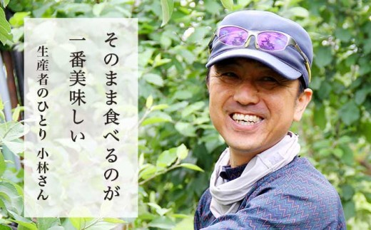 元調理師の小林さんが「そのまま食べるのが一番」と太鼓判を押すりんご。
