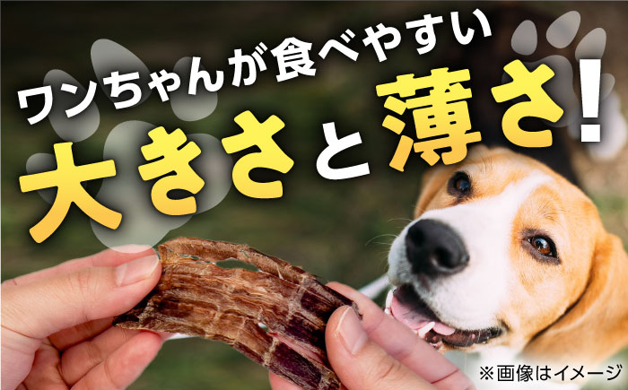 【全6回定期便】ペット用 馬刺しジャーキー 100g(50g×2)【五右衛門フーズ】 [YBZ065]