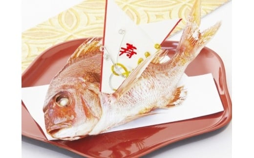 祝い鯛姿焼き 国産天然鯛
