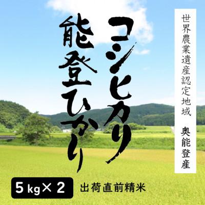 ふるさと納税 能登町 奥能登人気銘柄2種コシヒカリ・能登ひかり 5kgの食べ比べ(精米)