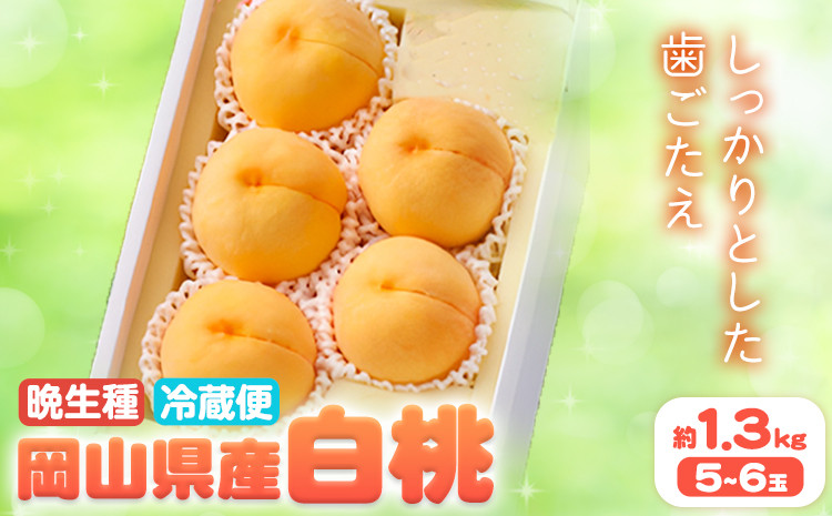 
            【2026年先行予約】岡山県産 白桃 晩生種 約 1.3 kg 5-6玉 晴れの国 おかやま館 漂流岡山 《2026年7月下旬-9月中旬頃出荷》岡山県 浅口市 フルーツ モモ 果物 青果 旬【配送不可地域あり】（離島） st-p
          