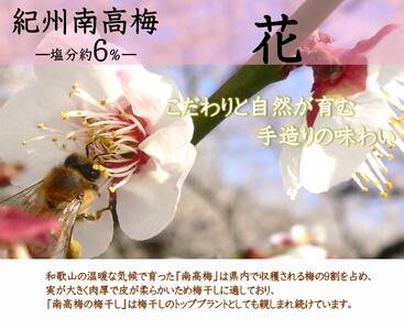 紀州南高梅 「花」 塩分約6％ 850g ［YM8m］ A-246