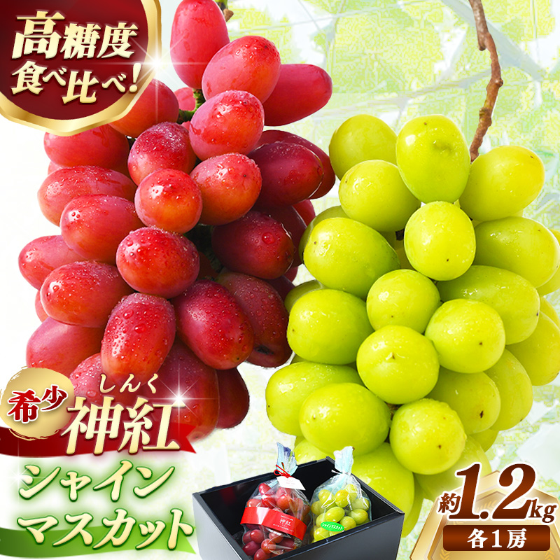 ＜足立ぶどう園＞島根県オリジナルぶどう「神紅」・シャインマスカット詰合せ（約1.2kg）［JU米子髙島屋選定品］【ブドウ マスカット フルーツ 果物 オリジナル 品種 甘い 皮ごと 種なし 大粒 果汁 美味しい セット 詰め合わせ ギフト 贈り物 贅沢 島根県 安来市】