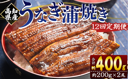 【国産】定期便 うなぎ 蒲焼き 約200g 2尾 12回 【 うなぎ 定期便 国産 うなぎ 定期便 かばやき うなぎ 定期便 惣菜 うなぎ 定期便 】 Wfb-0052