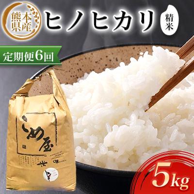 ふるさと納税 玉名市 【毎月定期便】熊本県産ヒノヒカリ(精米) 5kg全6回