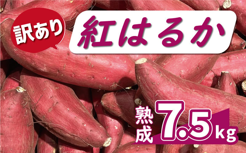 
            訳あり 熟成 紅はるか 7.5kg サイズ混合 10000円 サツマイモ 焼き芋 干し芋 丸干し 冷凍焼き芋 冷やし焼き芋 やきいも 蜜芋 ほしいも スイートポテト フライドポテト いも天 サイズミックス  甘い ねっとり しっとり ほくほく 生芋 新芋 芋 いも 甘藷 べにはるか スイーツ おかず さつまいも 国産 人気 糖度 産地直送 農家直送 数量限定 ミッチーのおみかん畑 愛南町 愛媛県
          