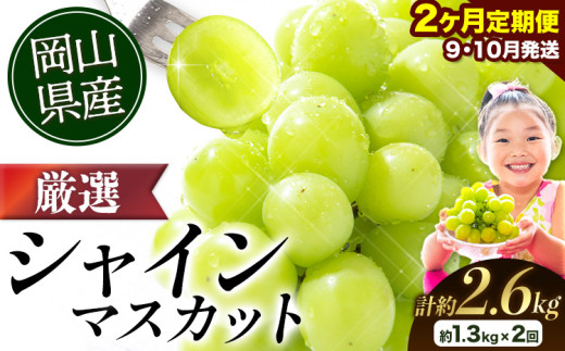 【2026年発送先行予約】厳選 シャインマスカット 2か月 定期便 1.3kg 2回発送 計約2.6kg 《2026年9月上旬-11月中旬頃出荷》 ぶどう マスカット フルーツ 数量限定 果物 岡山 厳選 シャインマスカット 晴王 ブドウ シャインマスカット 岡山県産 先行予約 シャインマスカット 大粒 シャインマスカット 晴王 シャインマスカット 岡山 シャインマスカット 定期便 シャインマスカット 定期