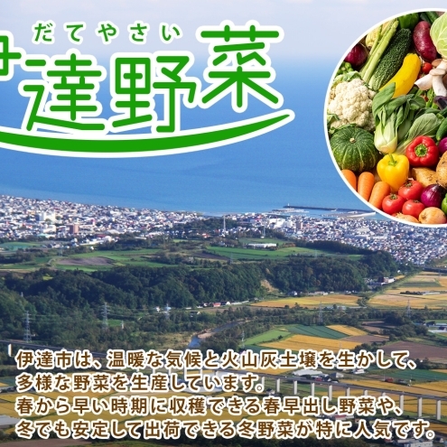 【2025年 発送 】 先行予約 北海道 伊達市 高糖度 トマト 北赤妃 きせき 約1kg  2箱 Mサイズ 計2kg とまと 新鮮 ジューシー 産地直送_イメージ4