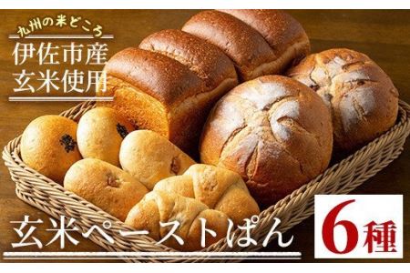 A0-06 玄米ペーストぱん詰め合せ(全6種・食パン×2斤、他8個)  伊佐市 特産品 自社栽培 玄米 カンパーニュ 塩バター あんぱん くるみぱん パン 菓子パン おやつ セット 詰合せ【やまびこの郷】