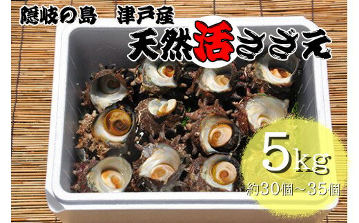 【ふるさと納税】隠岐の島津戸産天然活さざえ5kg