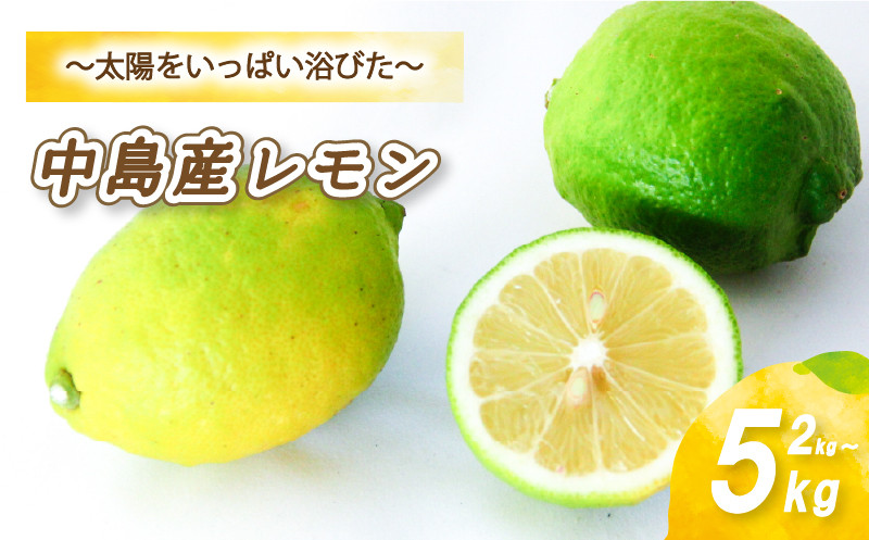
            【2025年11月から発送】 レモン 2kg/5kg | レモン 檸檬 レモン 数量限定 レモン 愛媛県産 レモン 松山市 レモン 中島 レモン 有機栽培 レモン 新鮮 レモン 【お贈り物にもおすすめ】
          