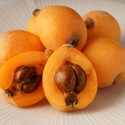 ふるさと納税 三豊市 【発送月固定定期便】三豊市フルーツ定期便全6回 |  | 02