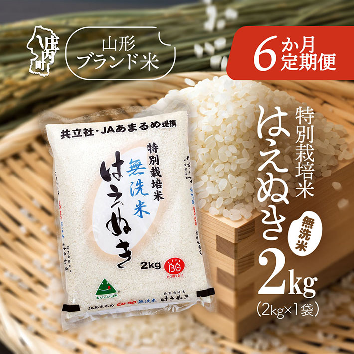 ＜1月中旬発送＞庄内米6か月定期便！特別栽培米 はえぬき無洗米 2kg（入金期限：2025.12.25）
