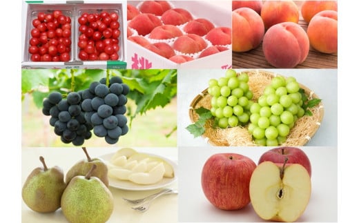 08-08-024　天童特選フルーツめぐり(定期便)全7回