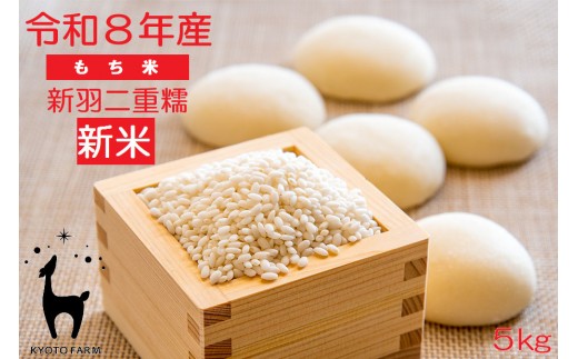 
                  【新米先行受付】【京都ファーム】令和8年産 京都ファームのもち米 新羽二重糯5kg | 京北 人気 米［ 京都 選べる発送月 京北産 もち米 人気 おすすめ 米 コメ おこめ お取り寄せ 通販 送料無料 ふるさと納税 ］
                