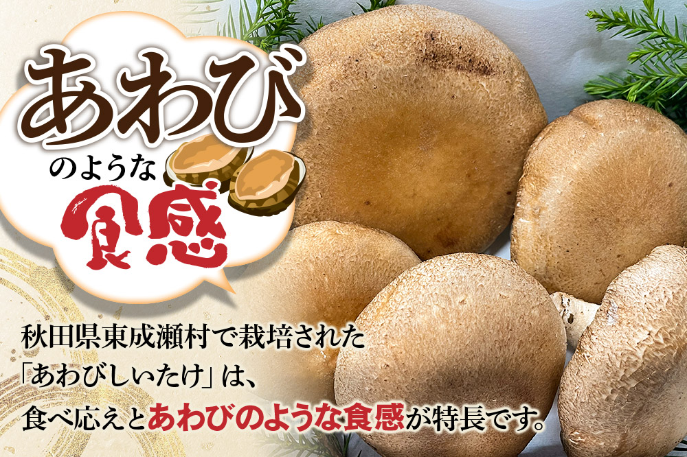 椎茸 あわびしいたけ 約600g 滝ノ沢ファーム 菌床 シイタケ きのこ 食べ応え 肉厚 茸 秋田県 国産 大ぶり 高品質