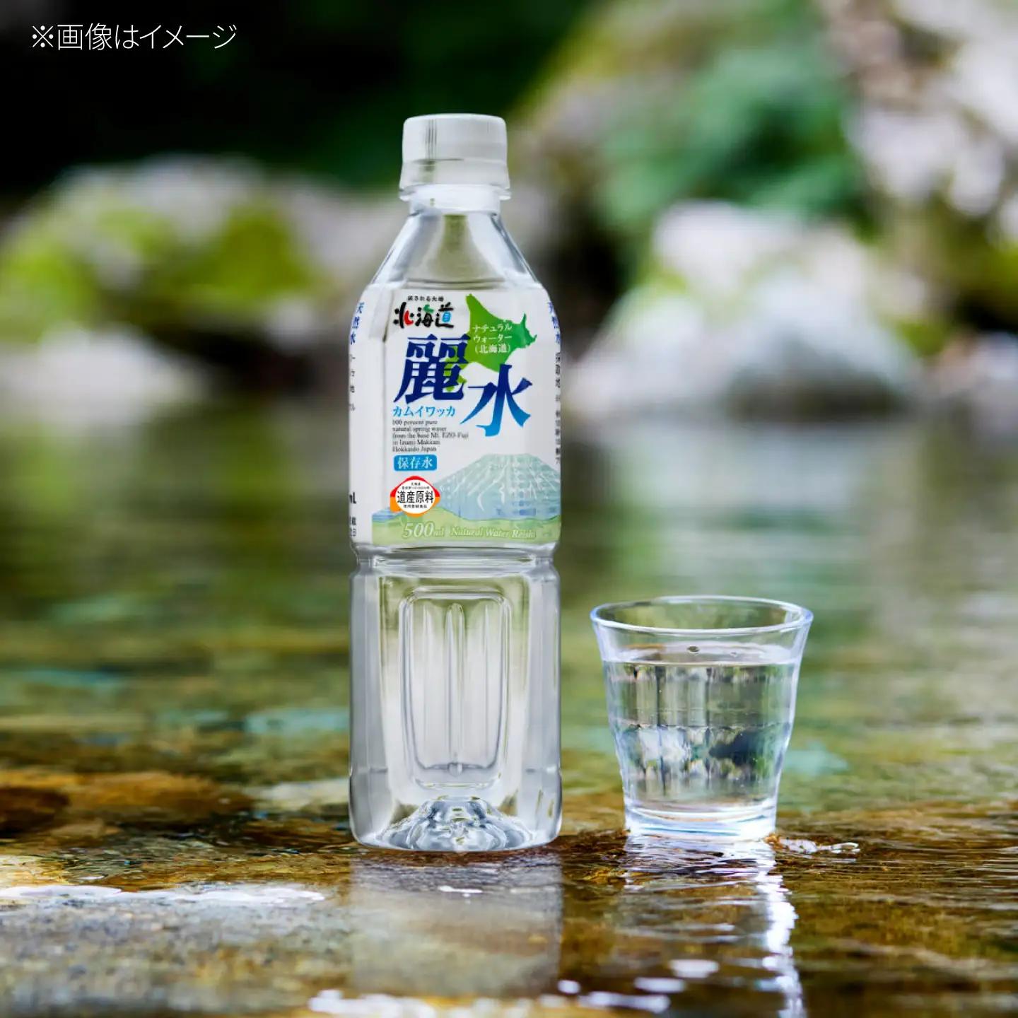 【全6回定期便】≪5年≫ 保存水 500ml×24本 [BPAI009] 保存水