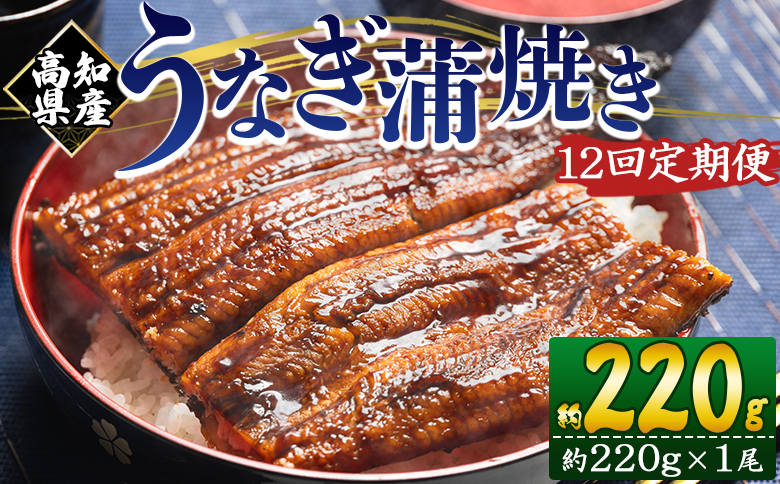 国産 うなぎ 定期便 12回 約220g １尾 蒲焼き 高知県産 養殖 魚介 国産 海鮮 魚 かばやき 鰻 ウナギ 惣菜 おかず お手軽 加工品 加工食品 冷凍 Wfb-0060