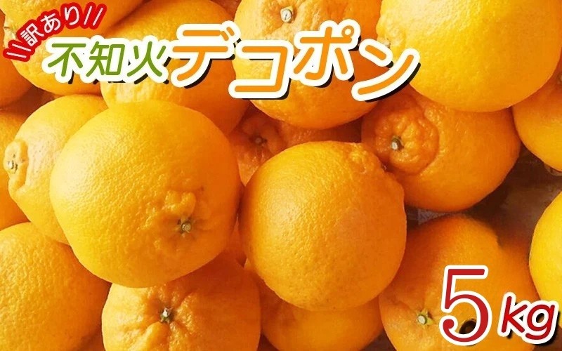 ＼光センサー選別／ 【訳あり】ちょこっと訳あり不知火デコポン 約5kg【ご家庭用】 先行予約 訳あり デコポン みかん ※2026年2月中旬より順次発送予定（お届け日指定不可）【nuk120D】