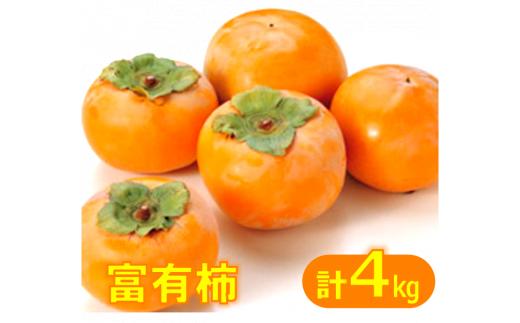 鳥取県産柿「富有柿」ふゆうかき  4kg