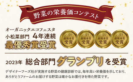 《期間限定》無農薬栽培 受賞農家 野菜セット 6品 お野菜のレシピ付き [Q234re]