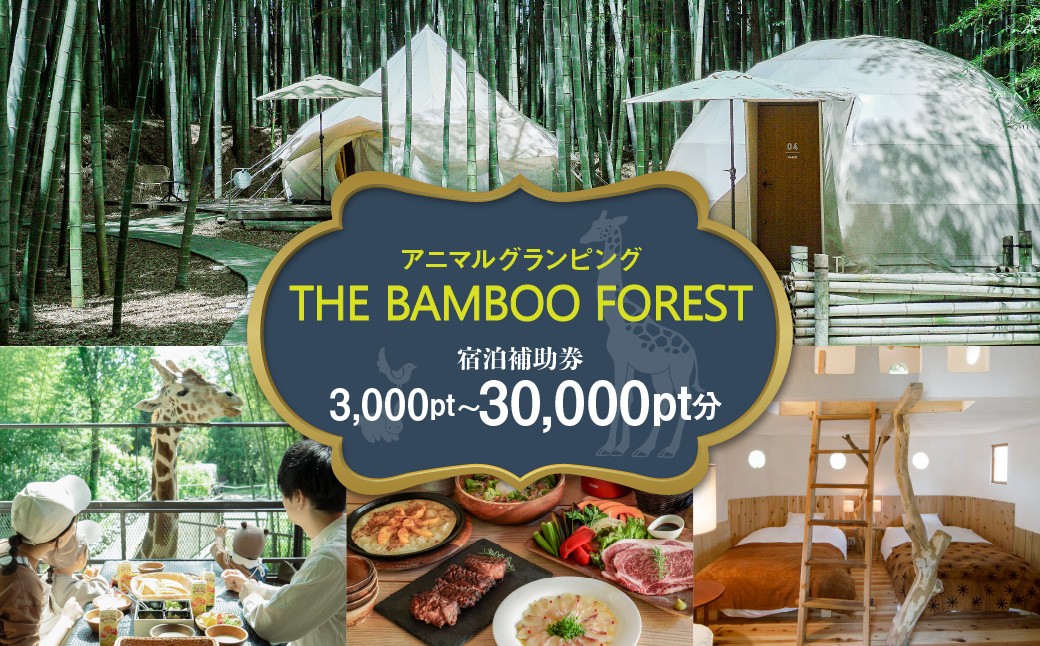 
                  【選べるポイント数】アニマルグランピング「THE BAMBOO FOREST」宿泊補助券（3,000pt／10,000pt／30,000pt）
                