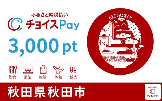 
            秋田市チョイスPay 3,000pt【会員限定のお礼の品】
          