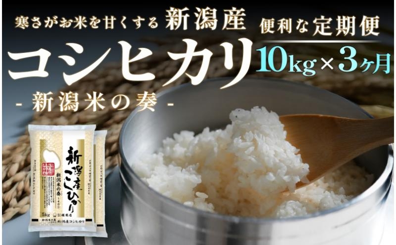 
                  【定期便】新潟産 コシヒカリ 10kg×3回（3ヶ月）
                