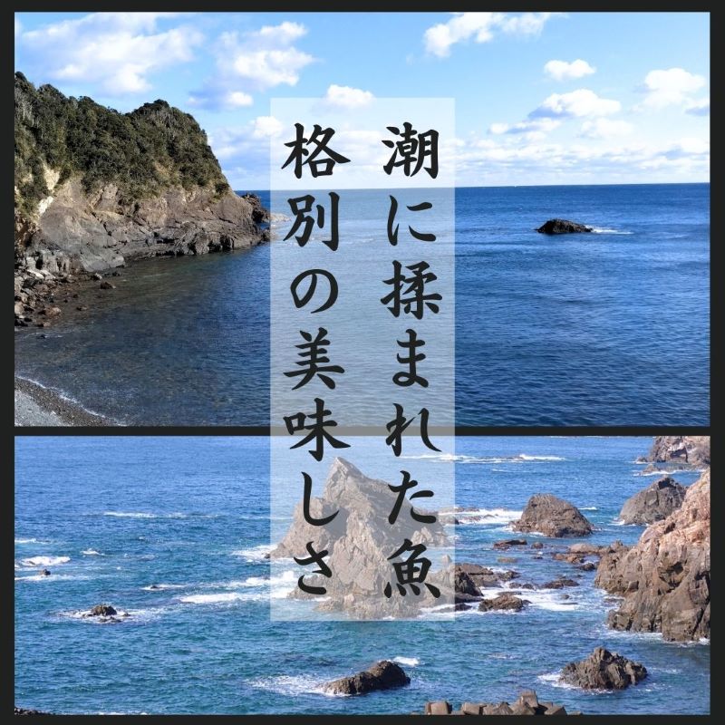 干物 5種 旬 おまかせ おたのしみ お楽しみ 産地直送 ひもの セット 干物セット 人気 詰め合わせ おかず お取り寄せ 朝食 ご飯 や 米 に合う 老舗 角助屋 伊勢 志摩市 三重県 15000円