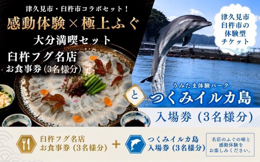 臼杵フグ名店お食事券と、うみたま体験パーク「つくみイルカ島」入場券 (3名様分) | チケット 入場券 利用券 体験型 観光 ふぐ とらふぐ 名物 水族館 ふれあい 九州 大分県 津久見市