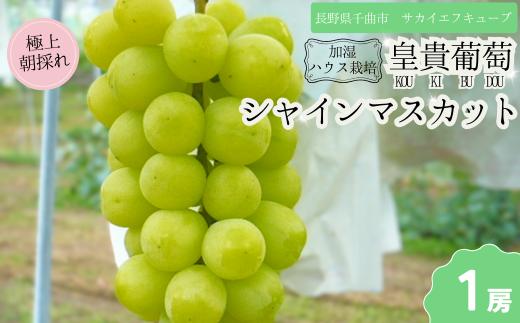 【2025年先行予約】シャインマスカット お中元 加湿ハウス栽培 最上級品 1房 ｜ 果物 フルーツ ぶどう シャインマスカット ギフト 種無し 千曲市 長野県産 信州