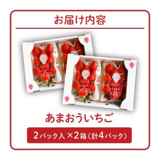 いちご あまおう 2パック 2箱 計4パック 果物 フルーツ 福岡 久留米 九州産 長尾農園 ストロべリー お取り寄せ お取り寄せフルーツ 食品 食べ物 おやつ お菓子作り 送料無料