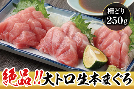 【冷蔵】絶品！生本マグロ　大トロ 250g（柵どり）