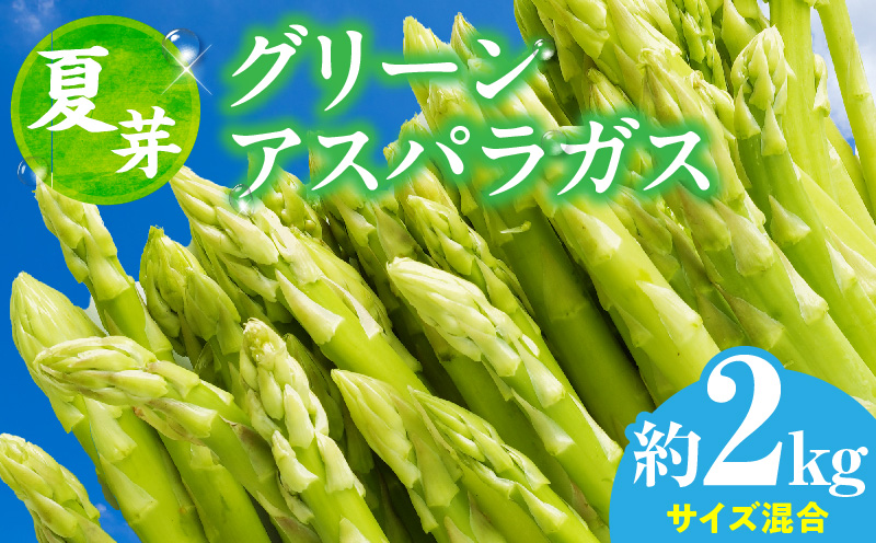 【先行受付】【夏芽】グリーンアスパラガス サイズ混合約2kg（1kg×2箱）  グリーンアスパラガス アスパラガス アスパラ 夏芽 おすすめ 混合 シャキシャキ 野菜 冷蔵 新鮮 新鮮野菜 香川県 国産 三木町 おすすめ _mk006-005