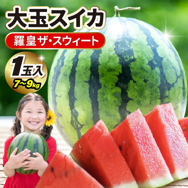 【ふるさと納税】【先行予約】 坂井市産 大玉スイカ 「羅皇ザスウィート」 1玉入り 7～9kg (大玉) 【2026年7月中旬以降順次発送予定】 スイカ 西瓜 すいか デザート 果物 くだもの 夏 甘い ジューシー 旬の果物 産地直送